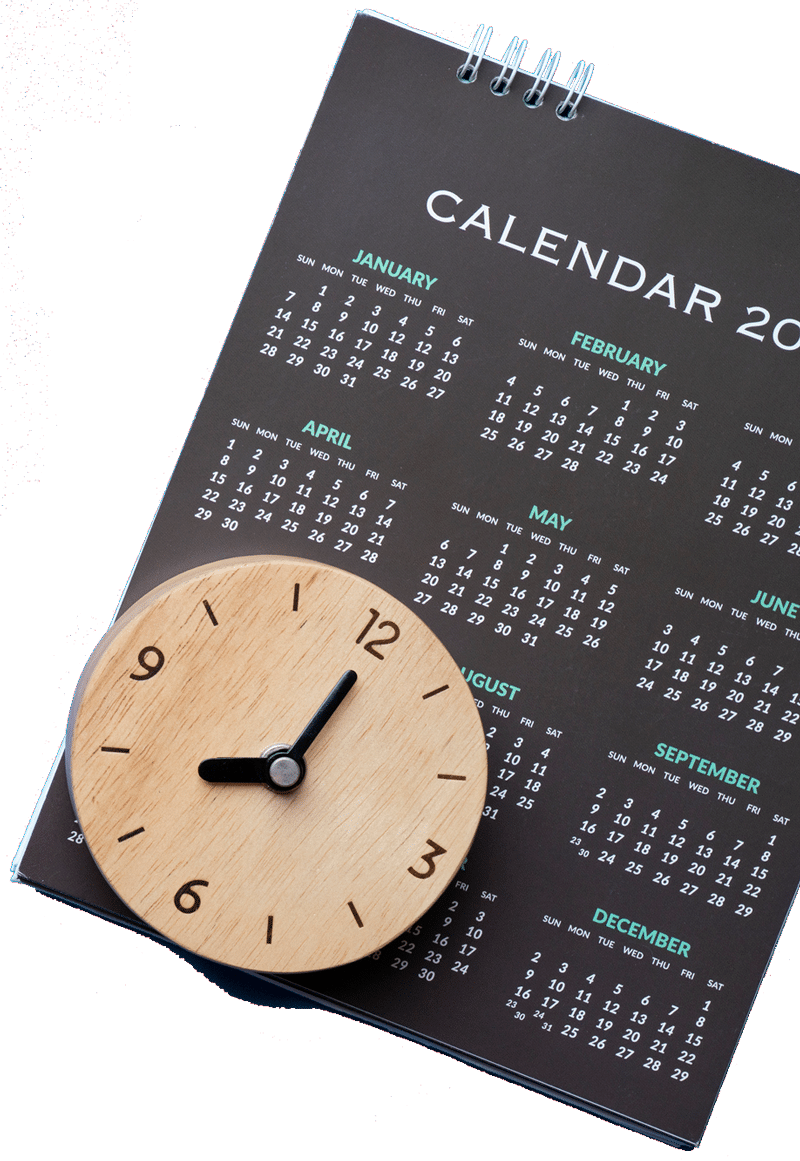 Schedule a call with Outbox Ltd. WordPress and Mailchimp, Auckland, New Zealand